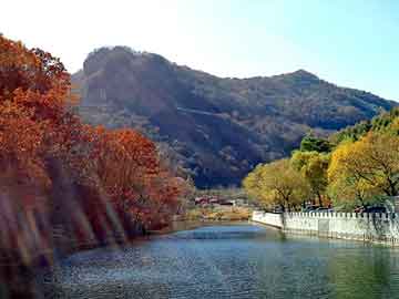 澳门天天开奖免费资料，专业去眼袋医院